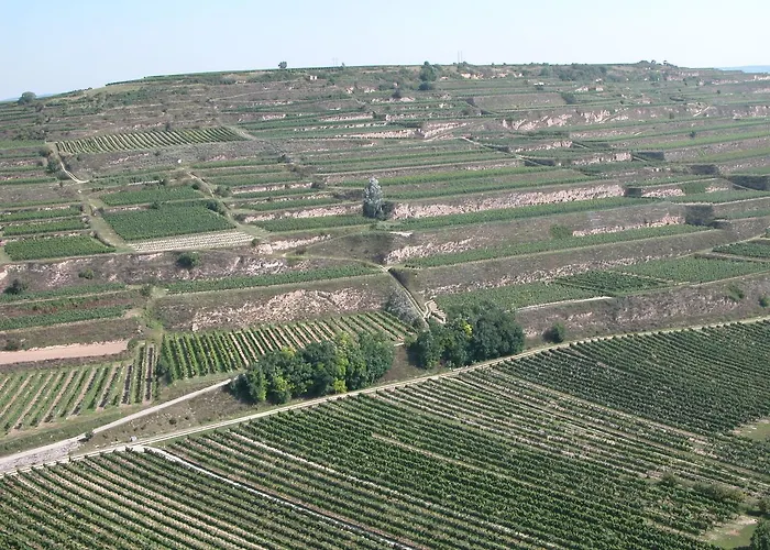 Weingut Und Gaestehaus Berger فندق مبيت وإفطار