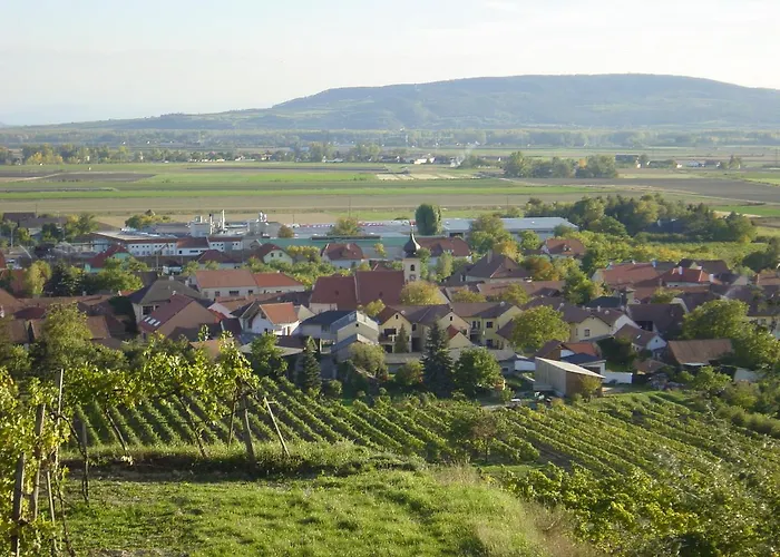Weingut Und Gaestehaus Berger 3* Gedersdorf